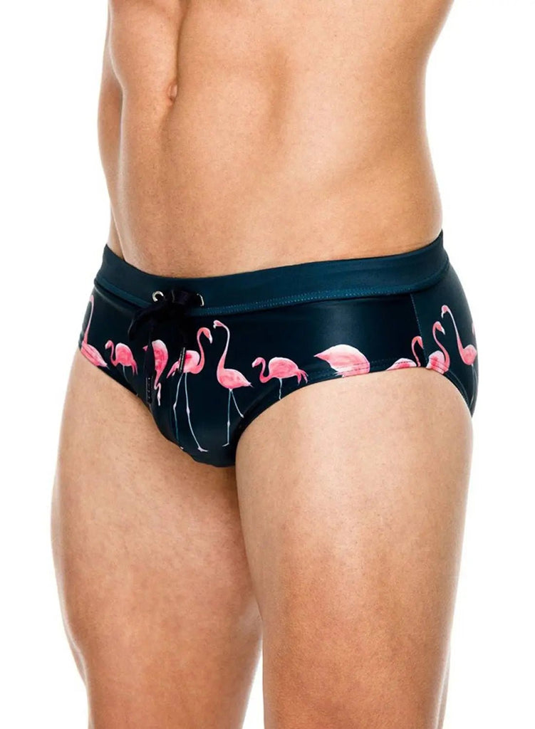 FLAMINGO SWIM BRIEF - mizokwear