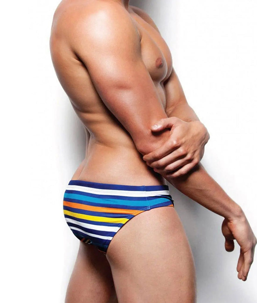 STRIPED PRINT SWIM BRIEF - mizokwear
